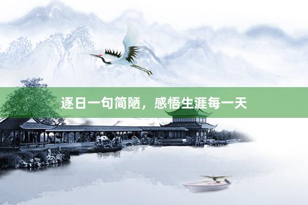逐日一句简陋，感悟生涯每一天