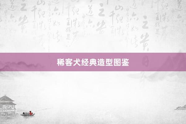 稀客犬经典造型图鉴