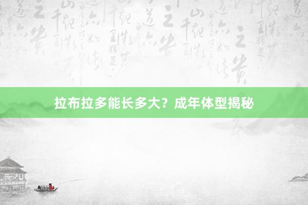 拉布拉多能长多大？成年体型揭秘