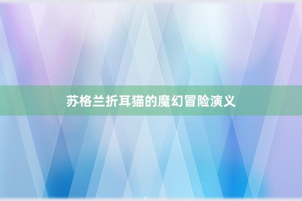 苏格兰折耳猫的魔幻冒险演义